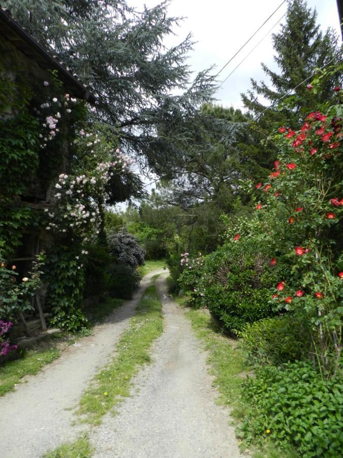 Mamota B&B Vesime Zewnętrze zdjęcie