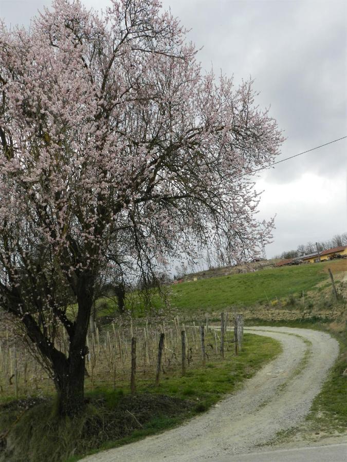 Mamota B&B Vesime Zewnętrze zdjęcie