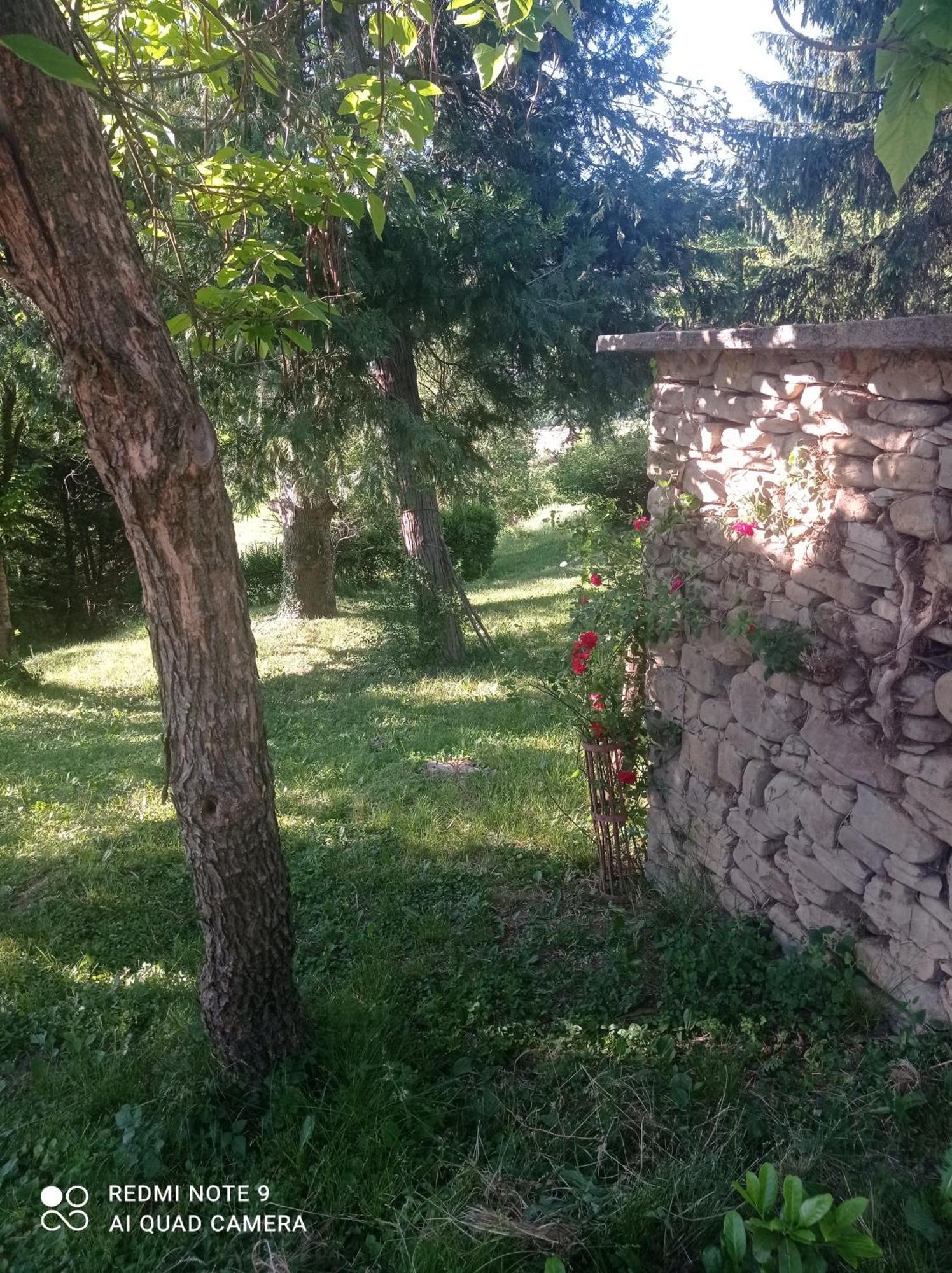 Mamota B&B Vesime Zewnętrze zdjęcie