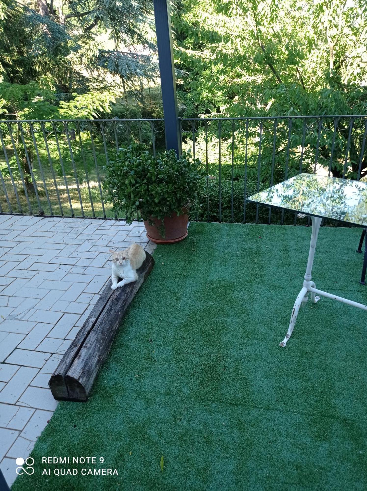Mamota B&B Vesime Zewnętrze zdjęcie